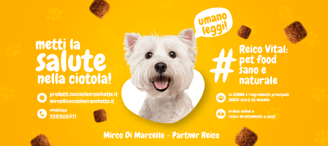 CuccioliCrocche's tweet photo. Metti la salute nella ciotola del tuo cane! Scopri il pet food sano e naturale Reico Vital! https://t.co/IXAd5PpLvG #petfood #cani #cane #estate https://t.co/a1VM2PrvnS