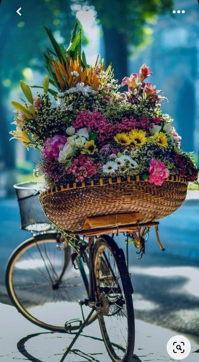 Ellen_Henrikson's tweet photo. "No pleasure is sweeter than good temperament, and no wealth is more beneficial than contentment, and no ignorance is more harmful than self-conceit."
#lmamreza https://t.co/hNKgdqnczu