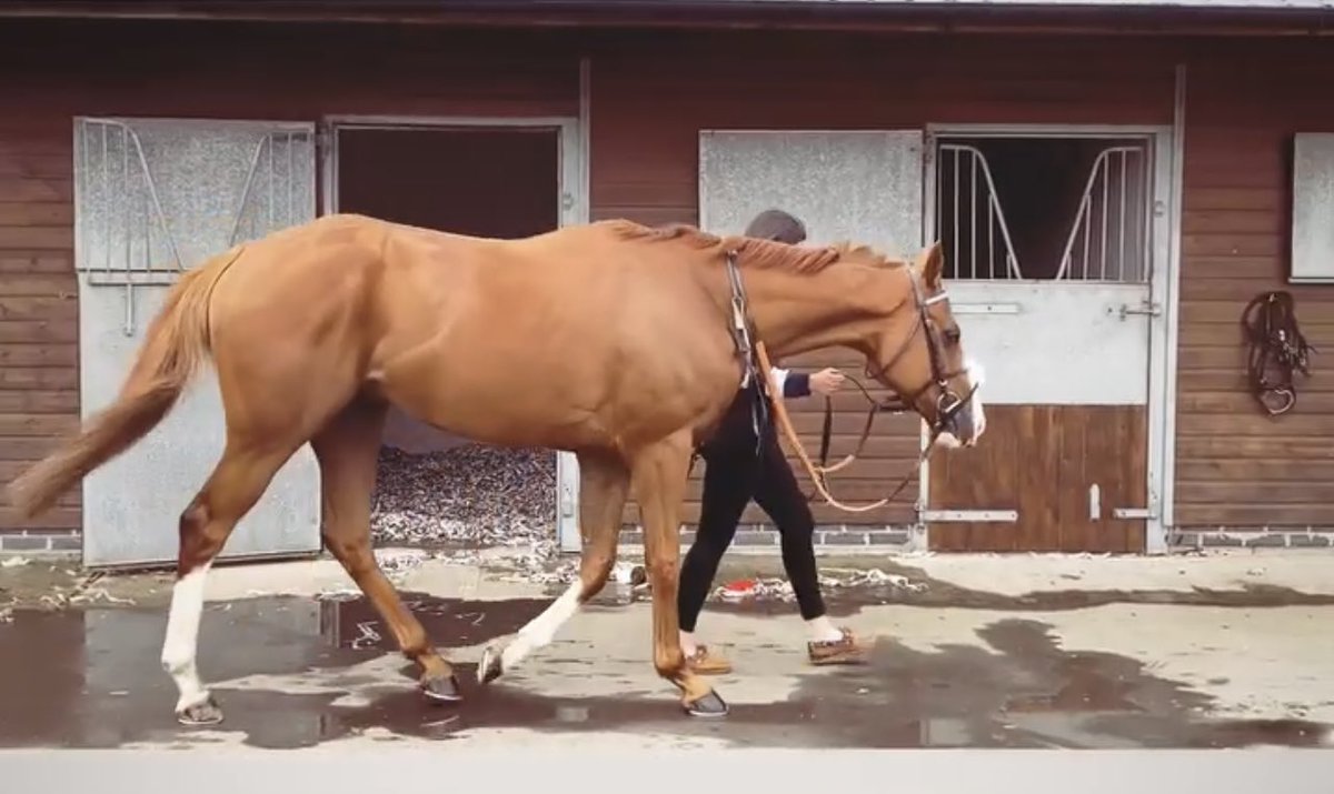 Patrick Owens tweet media