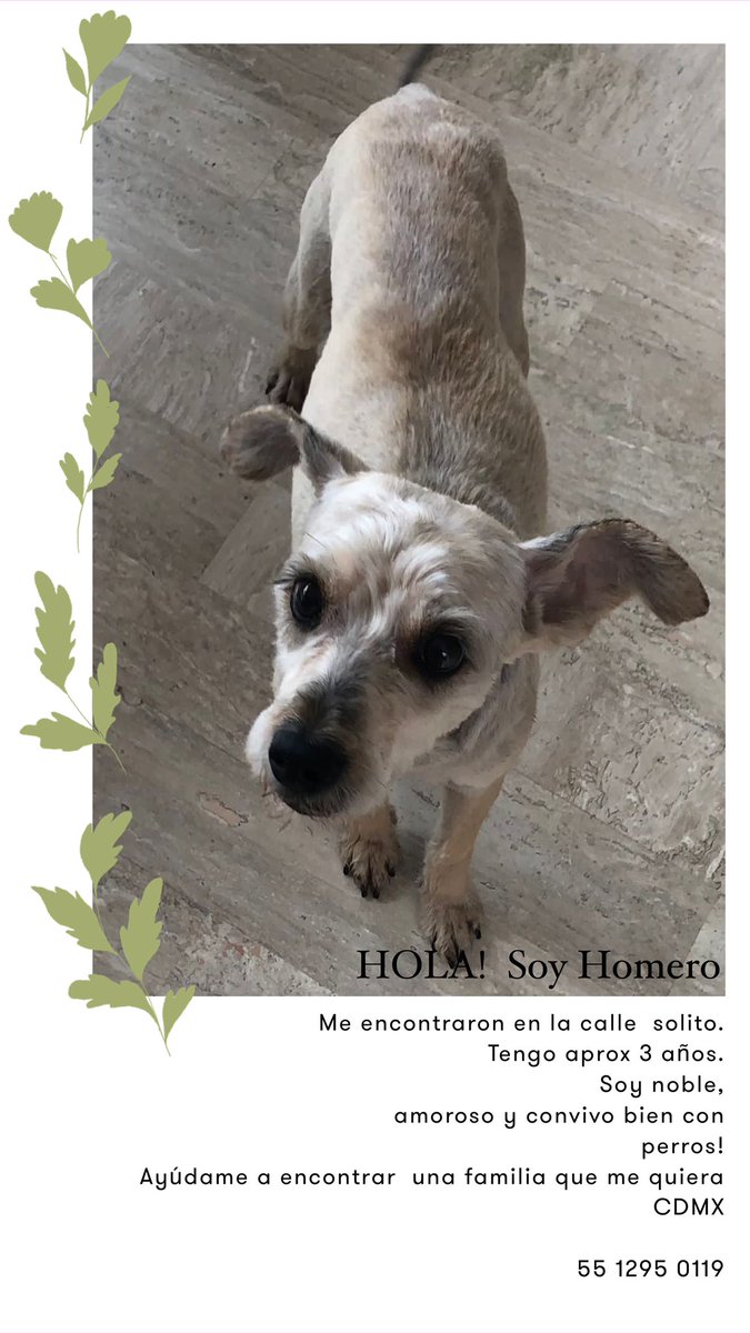 Hola! Me ayudan a compartir?