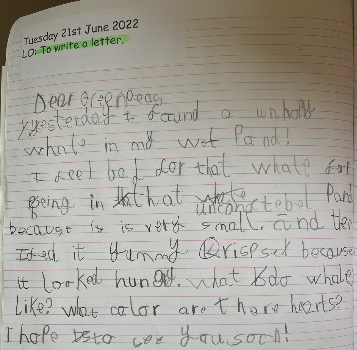MissCGough's tweet photo. Beyond proud of my little year 1’s! We have been writing letters to @GreenpeaceUK this week based on this term’s text ‘Dear Greenpeace’. They have made so much progress with their writing this year!🌟 https://t.co/t434yfjosx