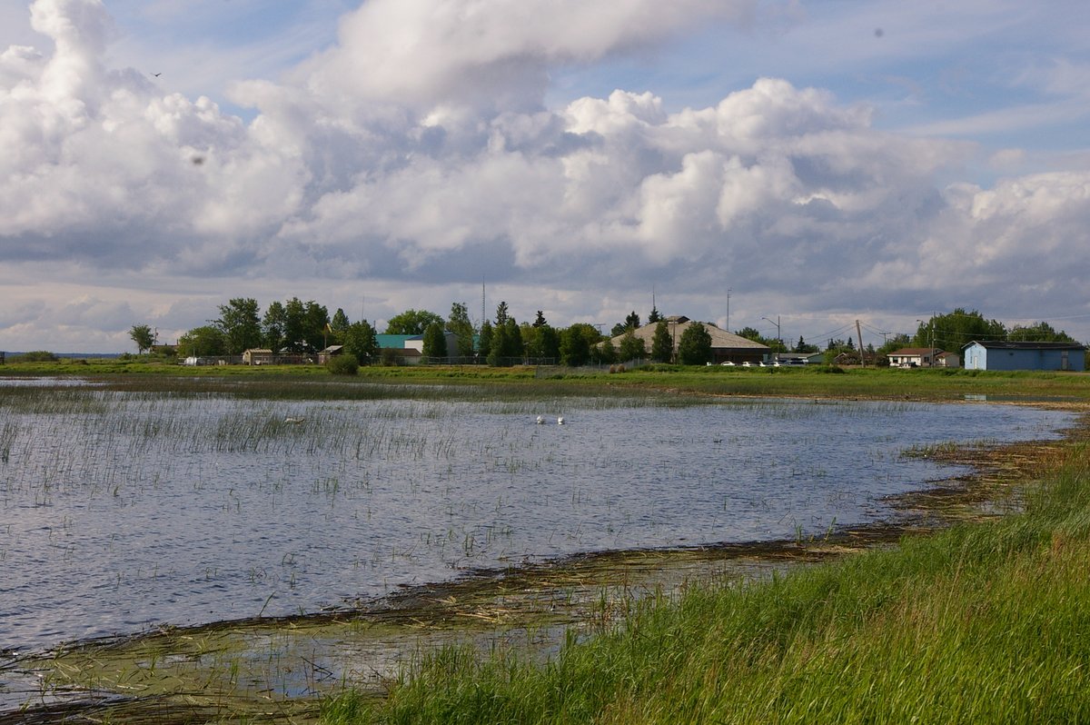 In her article, grad student Erin Laliberte discusses her upbringing and various cultural activities as ways of uplifting the Michif language and Indigenous ways of life in Île à la Crosse. Read at journals.uregina.ca/ineducation/ar…