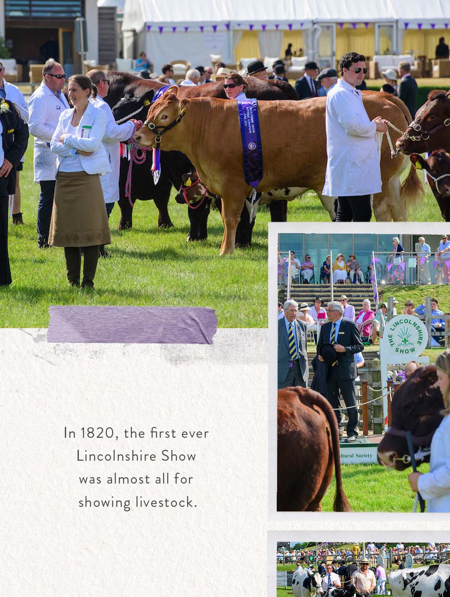 lincsshow's tweet photo. The Grand Parade of Livestock at the Krantz Designs main arena. #LincsShow22 #lincolnshireshow #lincsshow #Krantzdesigns #Lincoln #Lincolnshire #lincolnshireshowground #visitlincoln #makingmemories #lovelincolnshire #Livestock #Livestockparade https://t.co/I1JR519O1u
