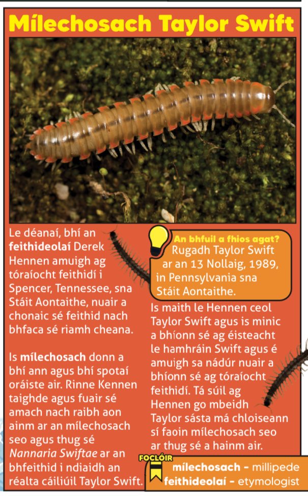 A centipede named after Taylor Swift. Would you be flattered? #scoil #oideachas #gaeloideachas