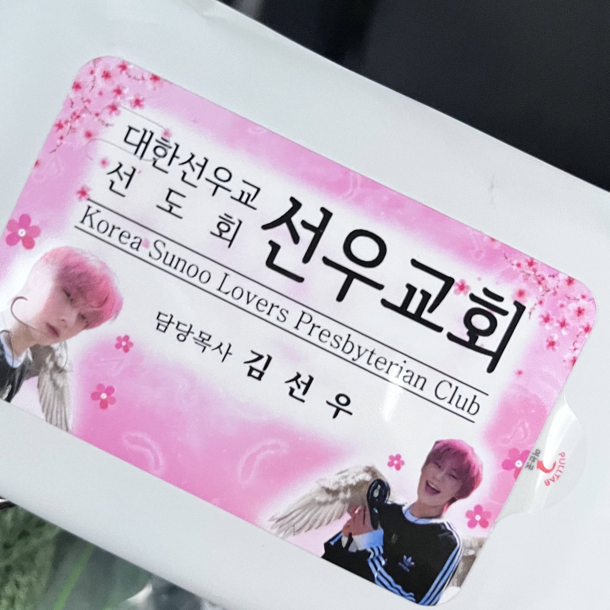찹도나 tweet media