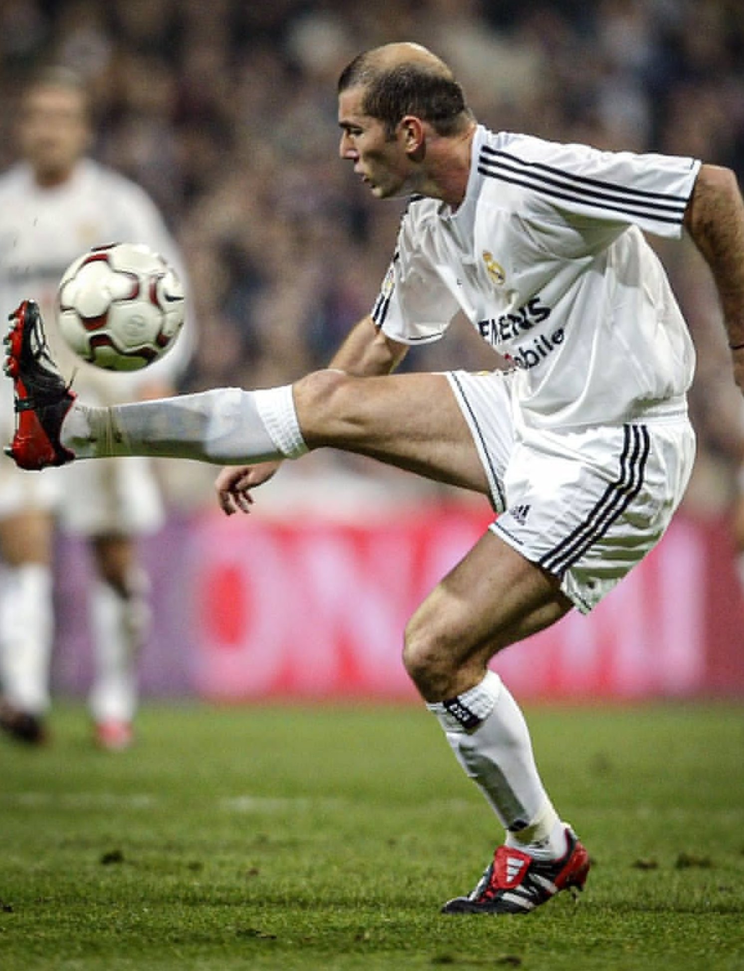 Happy 50th birthday Zinedine Zidane  | | | | 