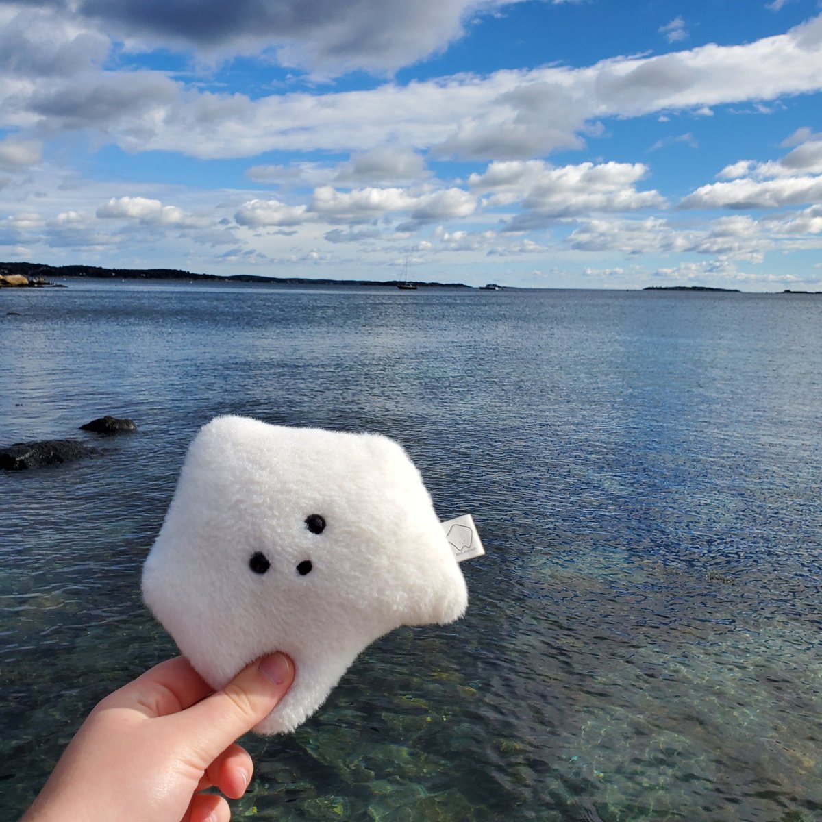 sucklet7's tweet photo. toss me in. πππ β’ . β’ πππ.
#sucklet. #beachlet. #waterlet. https://t.co/dZ7f20M5GQ