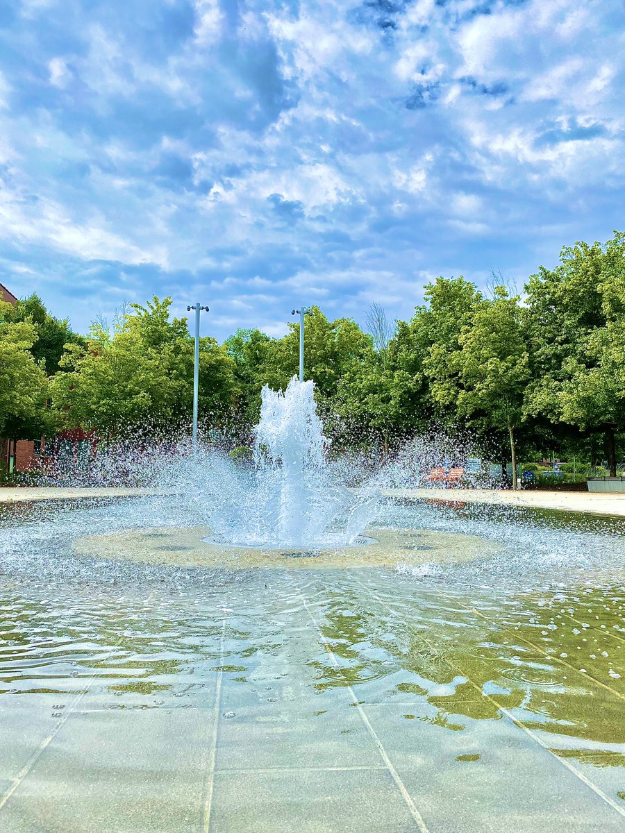 Chris Wilson tweet media