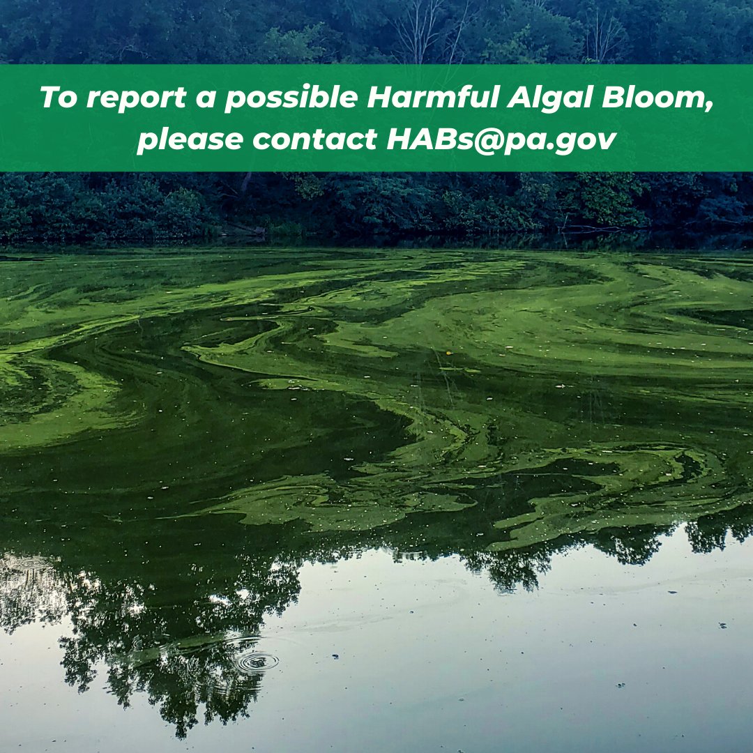 PA Department of Environmental Protection tweet media