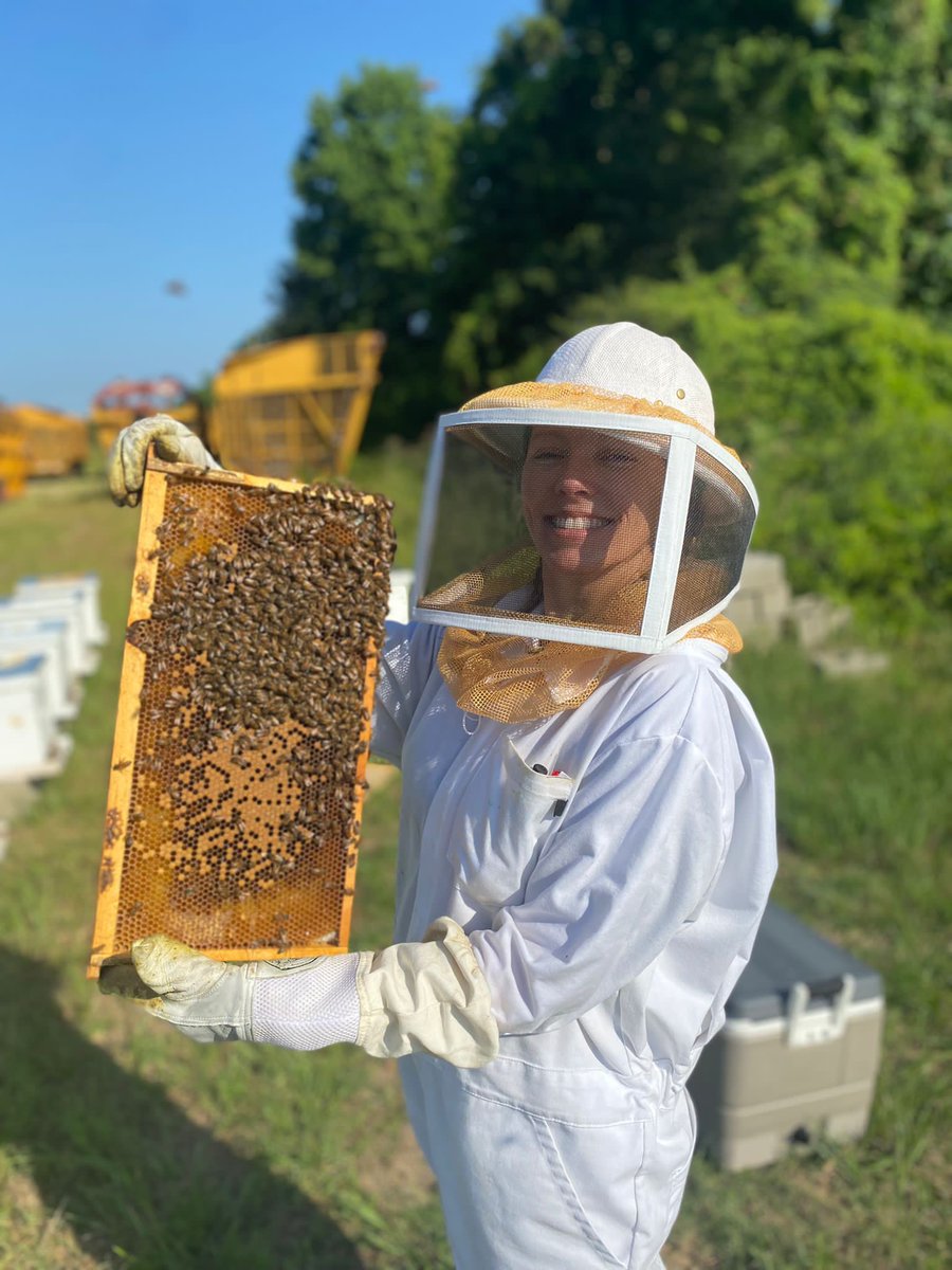 PriyadarshiniCB's tweet photo. Day 4 of #NationalPollinatorWeek 2022, highlighting another amazing and passionate student in my lab in #BCHEPP: Audrey Sheridan is studying small hive beetles. She is also the lab manager & extension associate in the lab. @PcbBee @BCHEPPdepthead @MSU_AG @msstate @MSStateGrads https://t.co/gG89yglhVs