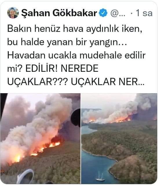 🇹🇷 丂乇ЏǤノ̇🎯✍️ (@Gezgin_mrc) on Twitter photo 2022-06-23 17:01:19 Çevreci, yeşilçi kesilir mendebur 'PROVOKATÖR ÇOCUKLARI'istanbulda o kadar ağaç kesildi gıkı çıkmadı sanki ormanları devletten çok bunlar düşünüyor, birde yakanlara bi kelime laf etsene #DevletHesabınıSoracak Çevreci, yeşilçi kesilir mendebur 'PROVOKATÖR ÇOCUKLARI'istanbulda o kadar ağaç kesildi gıkı çıkmadı sanki ormanları devletten çok bunlar düşünüyor, birde yakanlara bi kelime laf etsene #DevletHesabınıSoracak