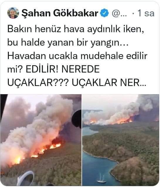 Çevreci, yeşilçi kesilir mendebur 'PROVOKATÖR ÇOCUKLARI'istanbulda o kadar ağaç kesildi gıkı çıkmadı sanki ormanları devletten çok bunlar düşünüyor, birde yakanlara bi kelime laf etsene #DevletHesabınıSoracak