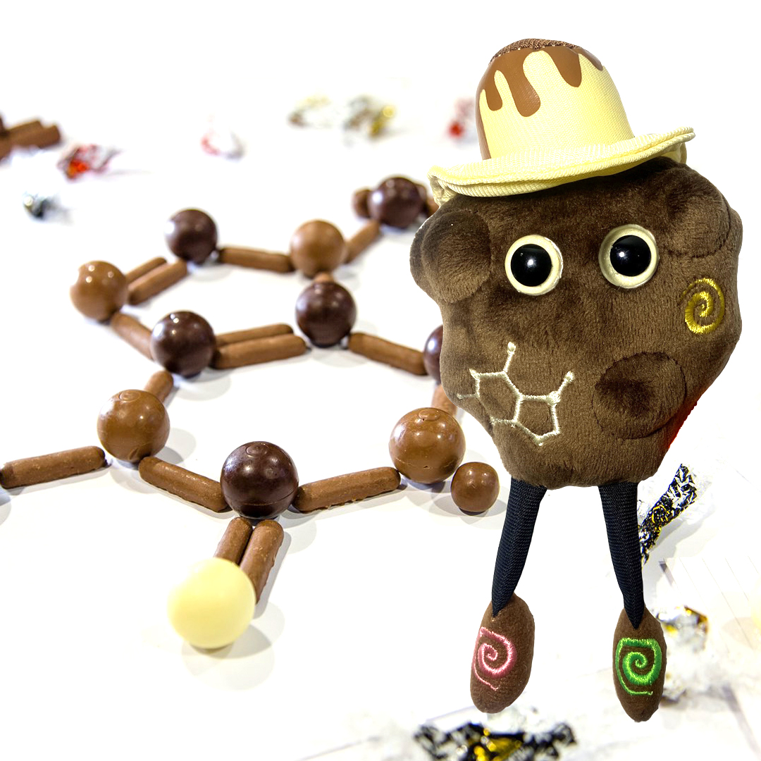 GIANTmicrobes, Inc. on Twitter: "🍫NOW ON PRE-ORDER🍫 #GIANTmicrobes #