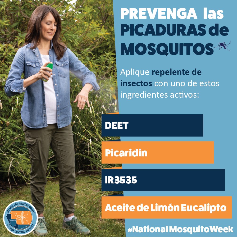 GLAmosquito's tweet photo. Insect Repellent is an effective way to protect yourself from mosquito bites. Apply any repellent containing 1 of these 4 ingredients with at least 15% of:  
→ DEET 
→ Picaridin 
→ IR3535  
→ Oil of Lemon Eucalyptus  
https://t.co/Fyc2y1v8lK #NationalMosquitoWeek https://t.co/VmZ6twneQU