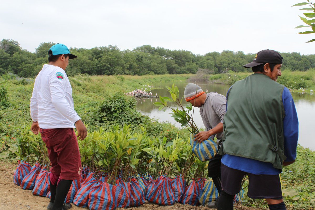 Excited to participate in #OceanTitans, a new documentary series highlighting organisations who are positively impacting the #global #ocean #ecosystem
Here’s a peek at the filming.
Launching on <a href="/Reuters/">Reuters</a> and in partnership with <a href="/OceanCouncil/">World Ocean Council</a> on 27 June for #UNOC2022