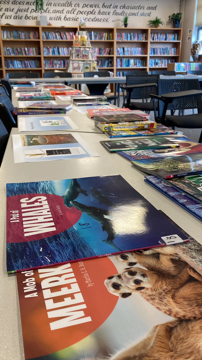 oawlrc's tweet photo. Are you ready for our open evening?@OAWintringham https://t.co/qDIE4lwxpf
