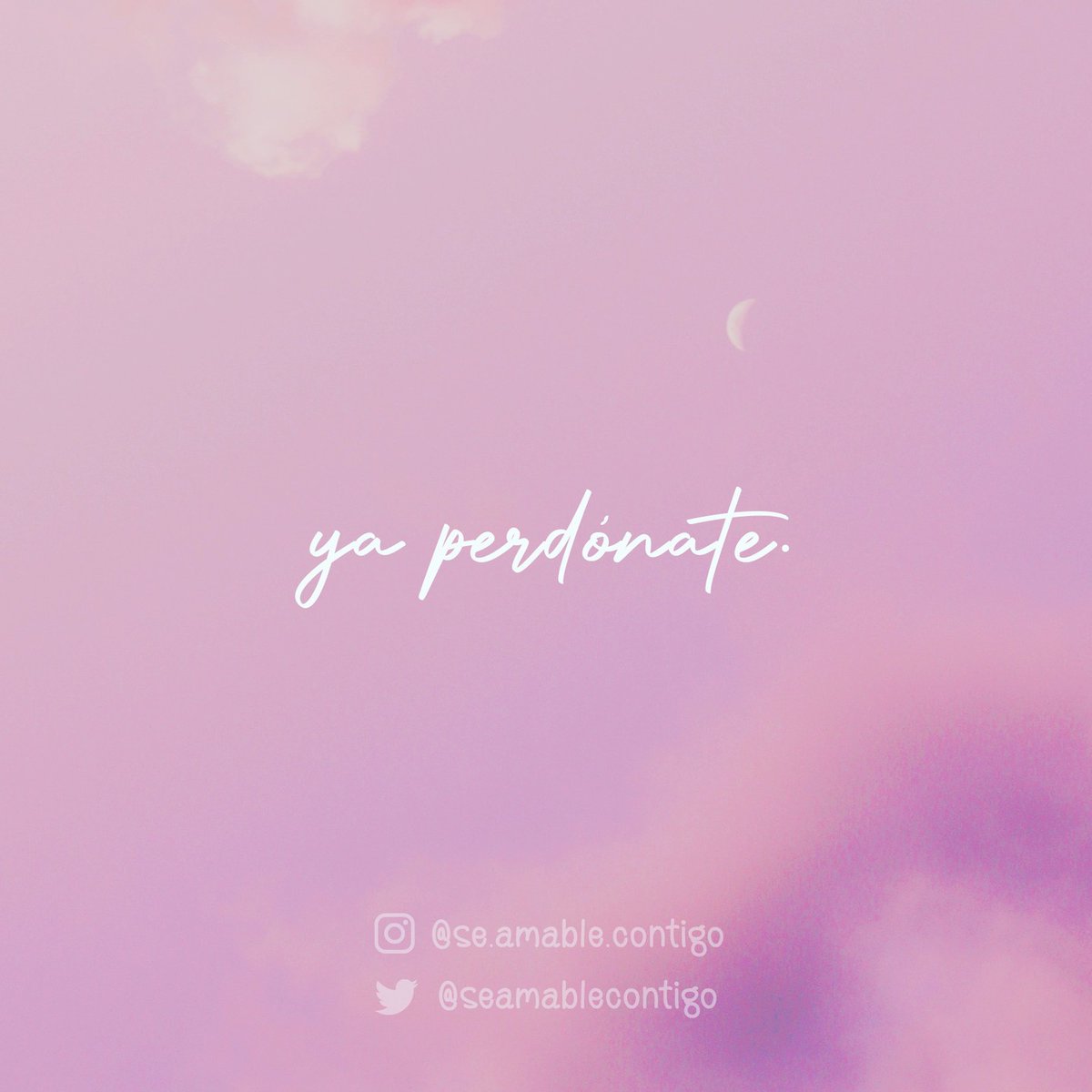 seamablecontigo's tweet photo. https://t.co/1RfHLuztrm