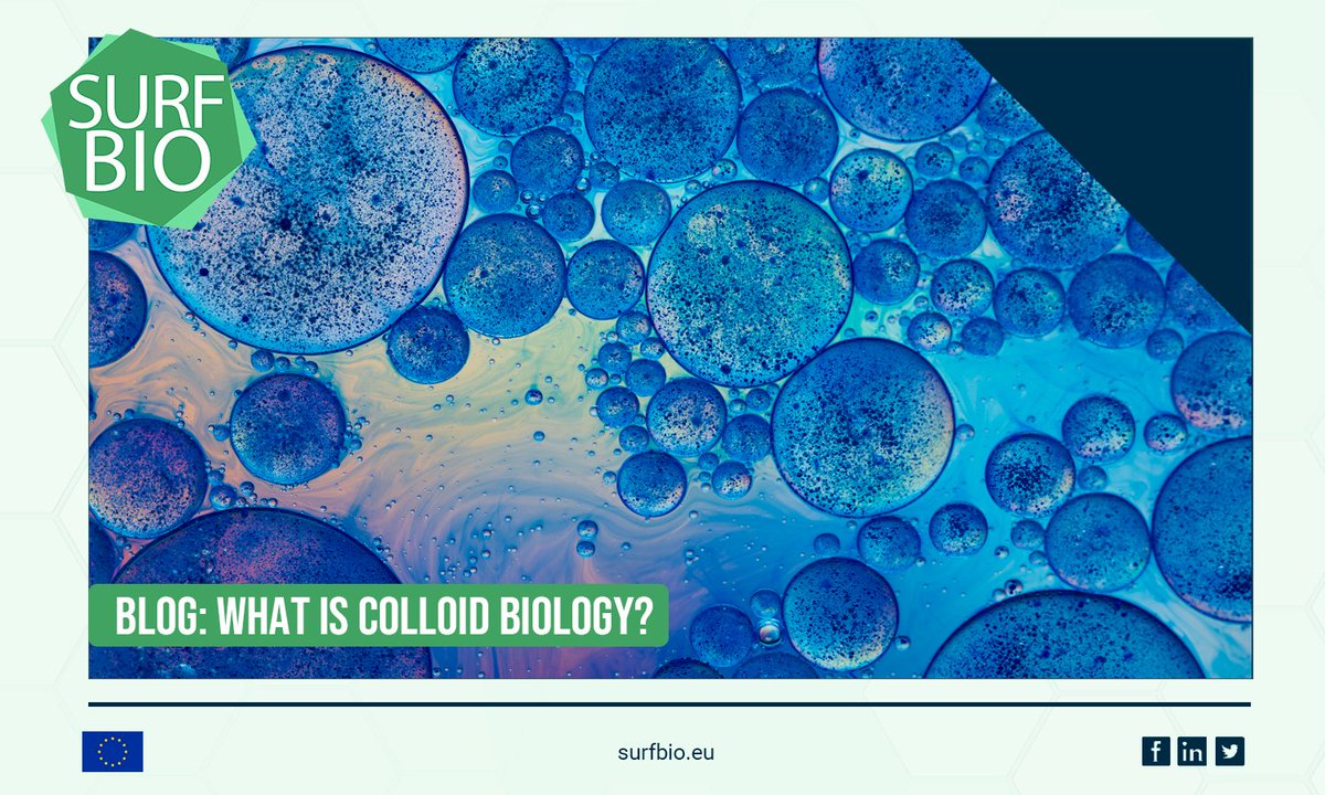 SurfBio_Hub's tweet photo. ๐ฌ Colloid biology is the basis of the #SURFBIO project. Do you want to find out more about its possibilities?๐ Our colleague, Dmitrii Deev, PhD student at the @JSI_SLO, explains it in the following blog article! ๐ https://t.co/tRxP1LMlkL https://t.co/l9en7DeBSM