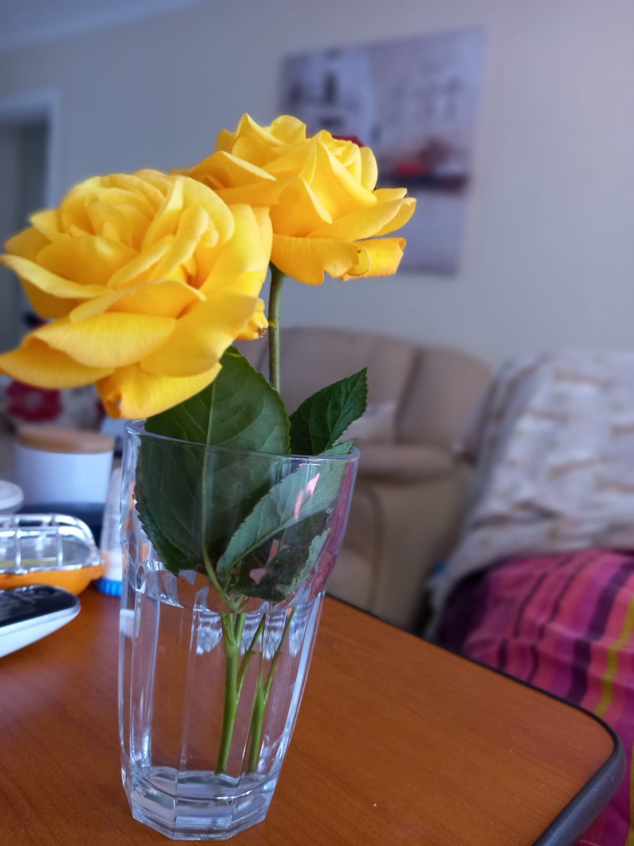 Nice very fragrant Rose from the garden.
J x