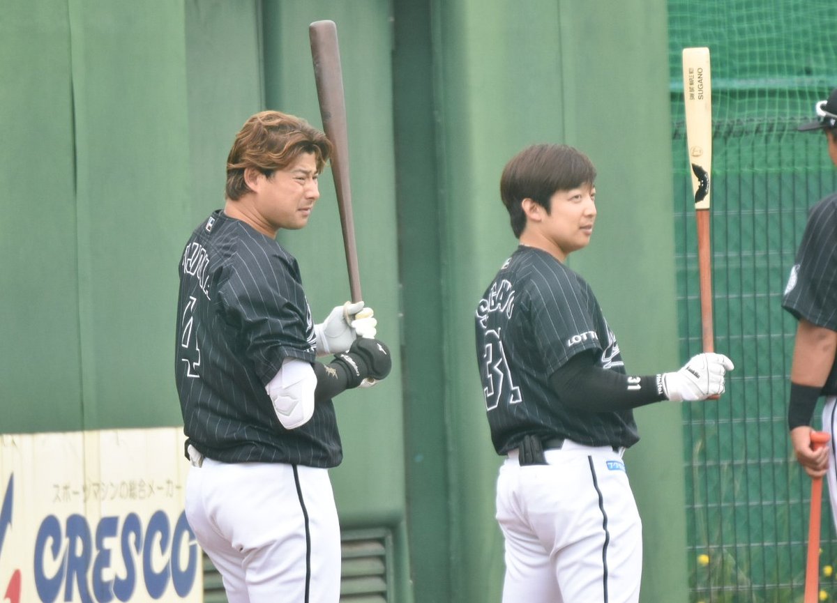 藤岡裕大選手 実使用 支給 バット ミズノプロ 硬式 木製 タブレット