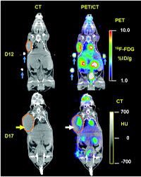 La plateforme <a href="/IPAM_Montp/">IPAM</a>, l’Institut de Génomique Fonctionnelle et @IRCM_MTP recherchent deux IE par voie de concours <a href="/Inserm/">Inserm</a> IE 10 &amp; 13 pour des techniques d’imagerie isotopique et de fluorescence in vivo. Date limite 25/26 juillet.
Infos :
pro.inserm.fr/rubriques/ress…