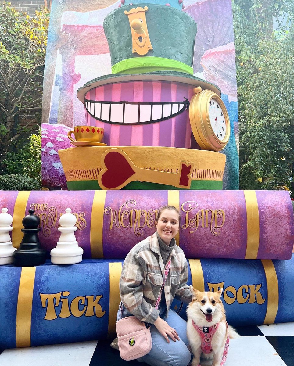 wyarreden's tweet photo. My youngest daughter, Chantelle and her corgi, Peaches visited The Grounds at Alexandria today. 💕🐾💕🐾
Always a great place for photos. 👍🏼📸
#CorgiNamedPeaches #Wyarreden #AustralianCorgi https://t.co/l2CuSa9i6I