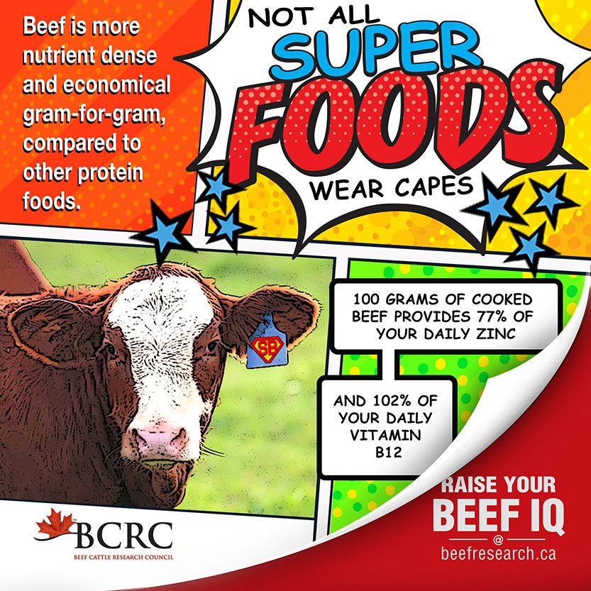 Beef contains a total package of complete proteins, bioavailable heme-iron, and more nutrients for fewer calories in a more economical gram-for-gram package than most other protein foods. One more thing…it tastes pretty good too. beefresearch.ca/research-topic…