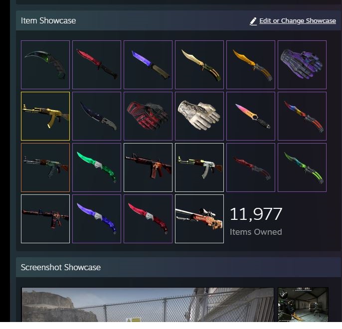 Hey, I'm trading and buying, selling CSGO skins! Feel free to add me on steam to discuss/nego

Paying via Crypto or PayPal. 

I also have a lot items, just ask or send offer
Everything is up for trade, prices negotiable