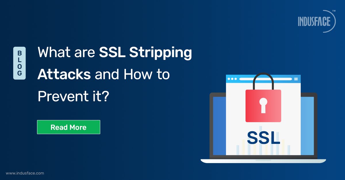 Indusface's tweet photo. ๐ Prevent yourself from being a victim of #sslstripping and Mitm attack, the less-known, easy, and most dangerous for your business.
๐ Check out what are #sslstrippingattacks and how to prevent them: https://t.co/g37LA22mR2
#sslattacks #ssl #mitmattacks #apptrana #indusface https://t.co/hSrXVnhh0J