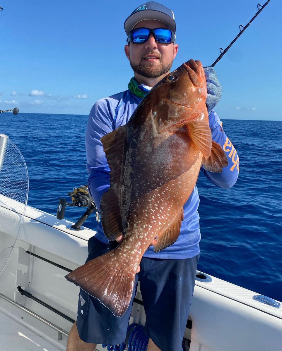 taco_marine's tweet photo. Wow! ๐คฉ TACO Pro Team Captain Danny Avila from Hammertime Sportfishing catching some BIG bottom fish on his charters lately! #TrollTheEdge
#tacomarine #sportfishing #fishing #bottomfish #charter #boatcharter #hammertime #boat #southflorida #bigfish #saltwaterfishing https://t.co/lWsePrCgtO