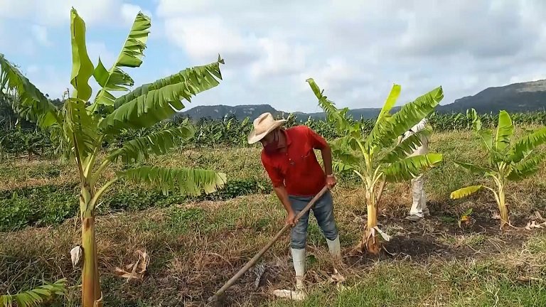 "Queremos que el programa de autoabastecimiento se acerque más a las comunidades", destacó <a href="/JorgeLuisTapiaF/">Jorge Luis Tapia Fonseca</a> en Jagüey Grande, quien insistió en que "hay que aterrizar, dejar los números en los informes y producir lo que haga falta". #PeriodicoGiron #Matanzas 
Reporta @mariacelys