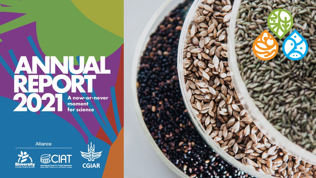 Alliance of Bioversity International and CIAT tweet media