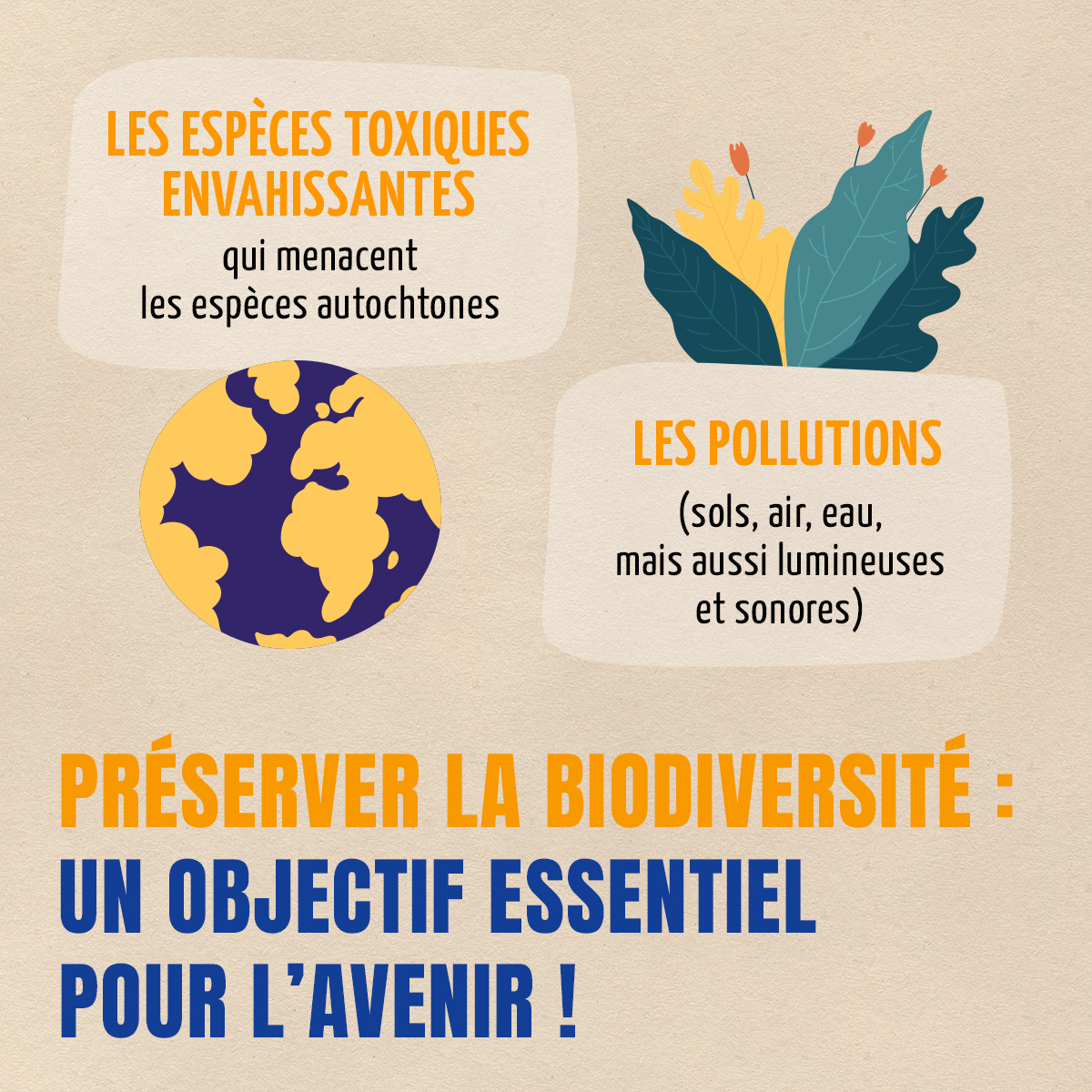 Biocoop66's tweet photo. Pourquoi la biodiversité est en danger ?
#biodiversite #biocoop https://t.co/XZYMDwZLew