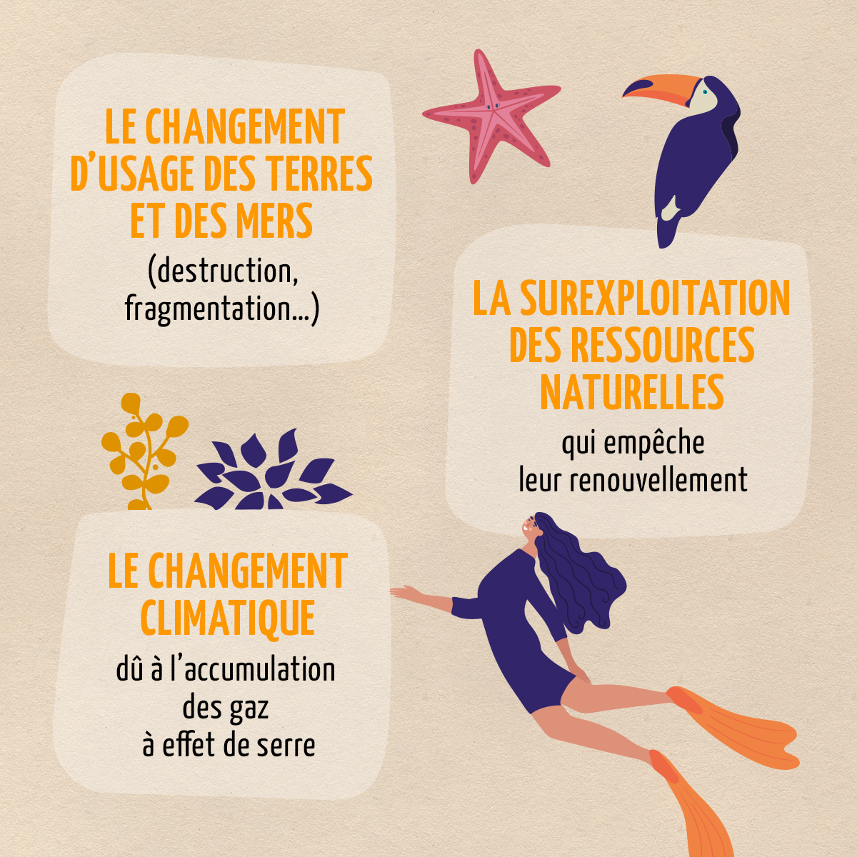 Biocoop66's tweet photo. Pourquoi la biodiversité est en danger ?
#biodiversite #biocoop https://t.co/XZYMDwZLew