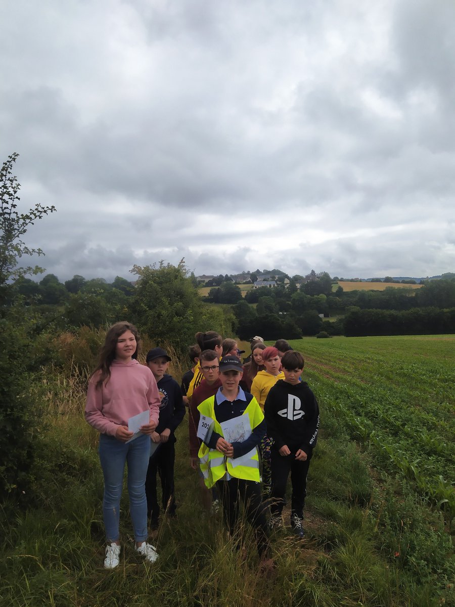 EcoleSources's tweet photo. Aujourd'hui, tous les élèves de l'école ont marché 2024 m dans lors de la journée olympique 2022. Soit 293 km!
#JeBougePourLaPaix .
Ils ont ensuite créé un arbre pour la paix dans la cour des maternelles. https://t.co/b1rk3CZ0FN
