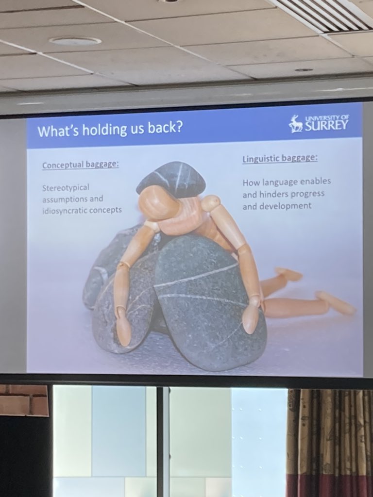 kay_sambell's tweet photo. The lovely @DocWinstone keynoting on the baggage that’s holding us back from thinking productively about effective feedback processes (so we can, I hope, travel more speedily and lightly!). https://t.co/g7Y5nruZn0