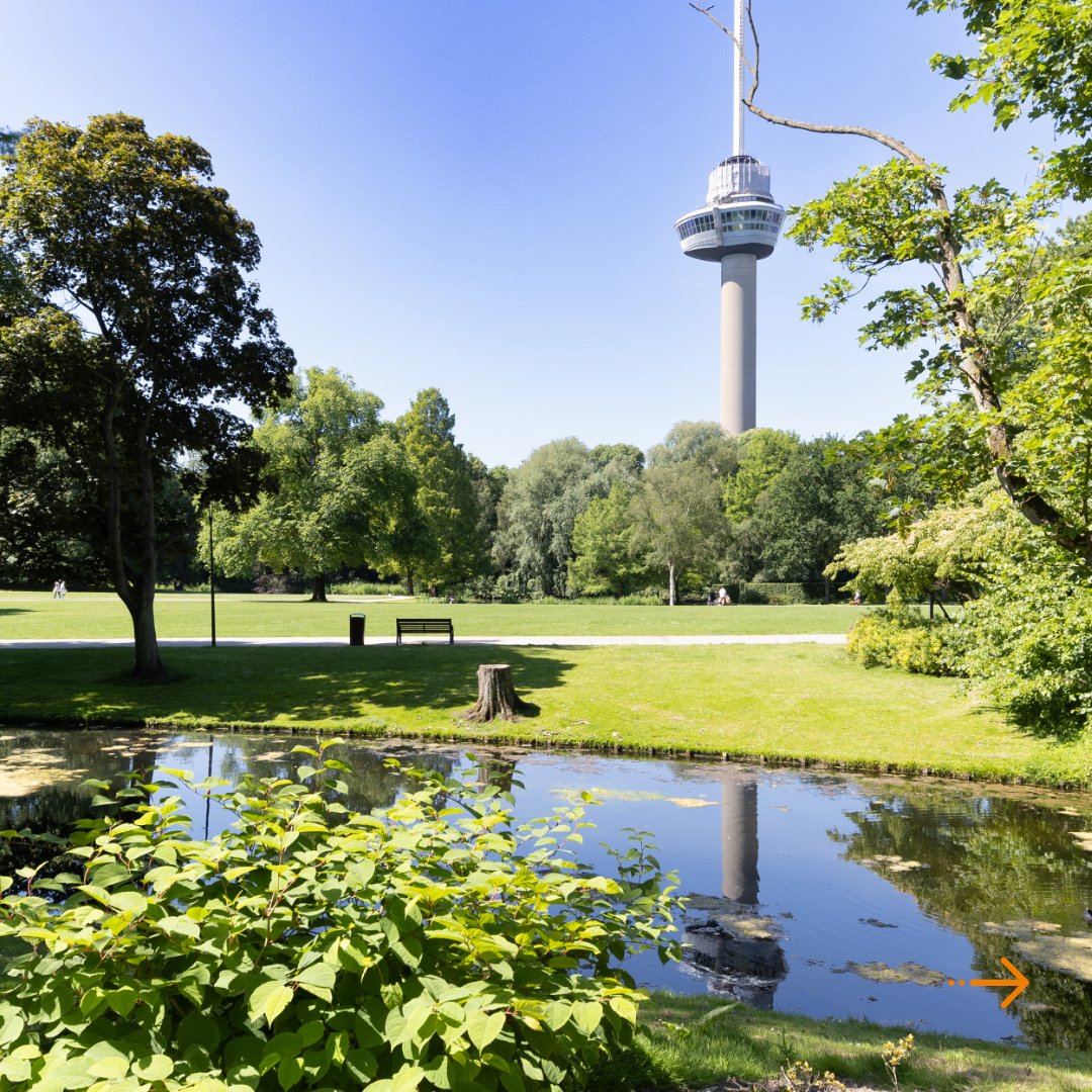 Dolmans Landscaping tweet media