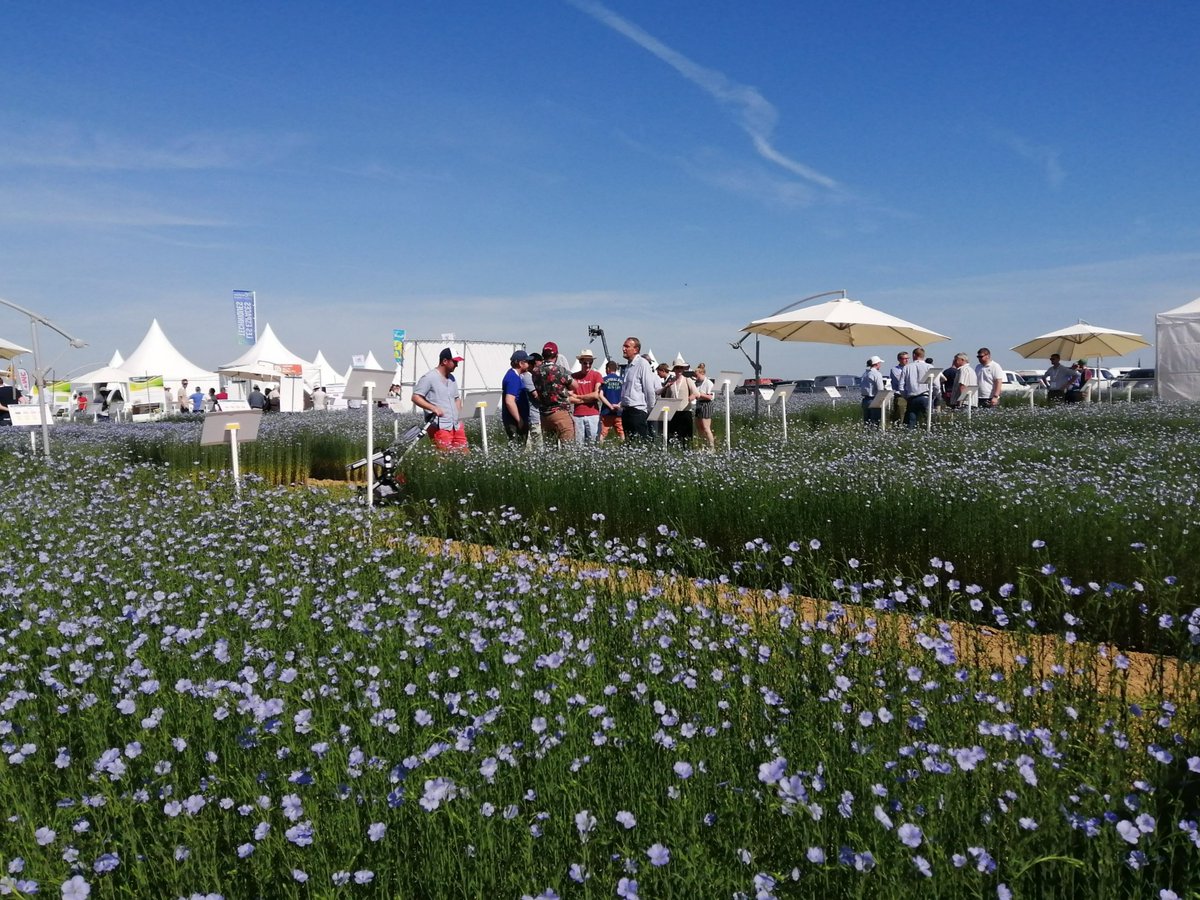 Yann Flodrops tweet media