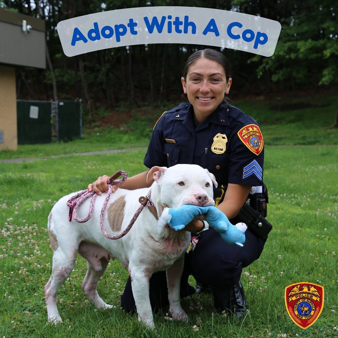Suffolk County Police Department on Twitter: Suffolk County Police Department on Twitter: