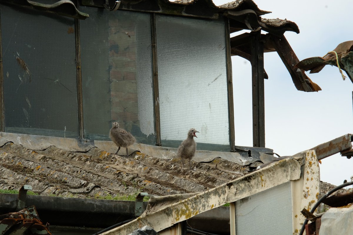 Melksham News tweet media