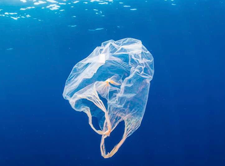 🇨🇦  Le Canada vient d'interdire la fabrication et l'importation de plastiques à usage unique. Cette mesure devrait permettre d'éliminer plus d'1,3 million de tonnes de déchets plastiques au cours de la prochaine décennie ! 👏