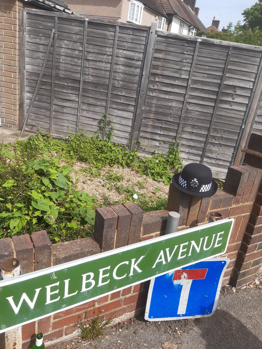 MPSPlaisSund's tweet photo. PCSO Dervish and PC Quin have been patrolling the ward.
Nothing to report at the moment. https://t.co/QP4SYOzWo5