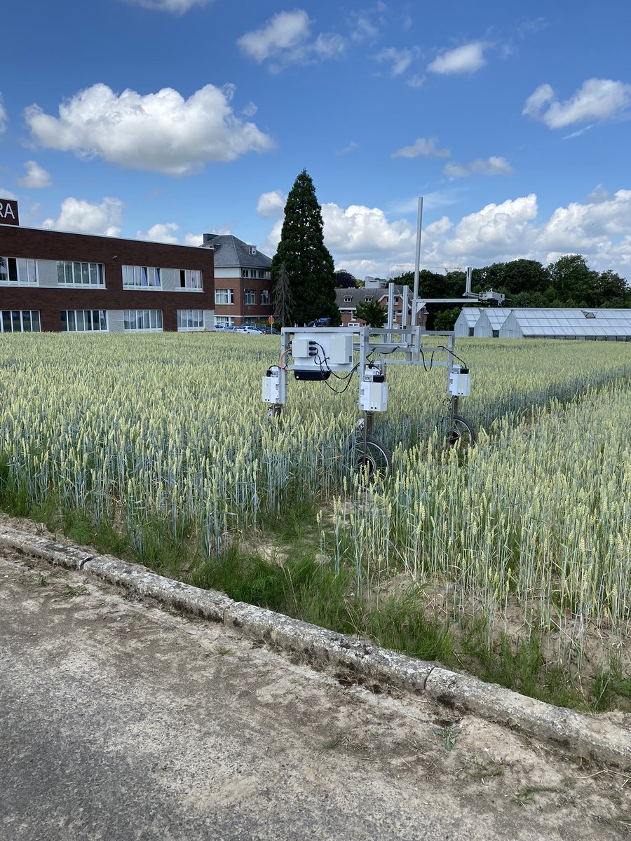 American Society of Sugar Beet Technologists tweet media