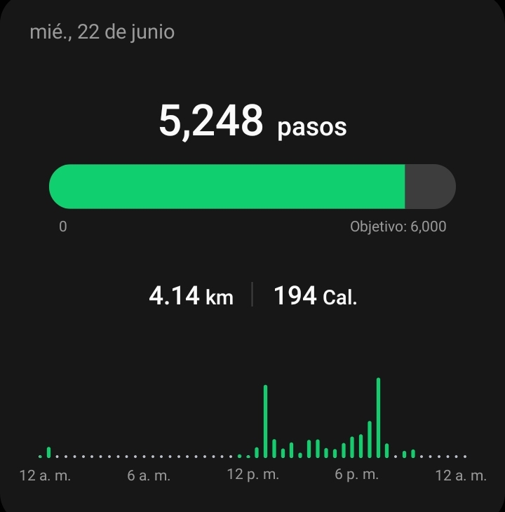 ChipaGata's tweet photo. Retomando el movimiento! #roma4 https://t.co/rNODjgGARX