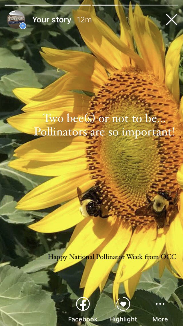 Oklahoma Conservation Commission tweet media