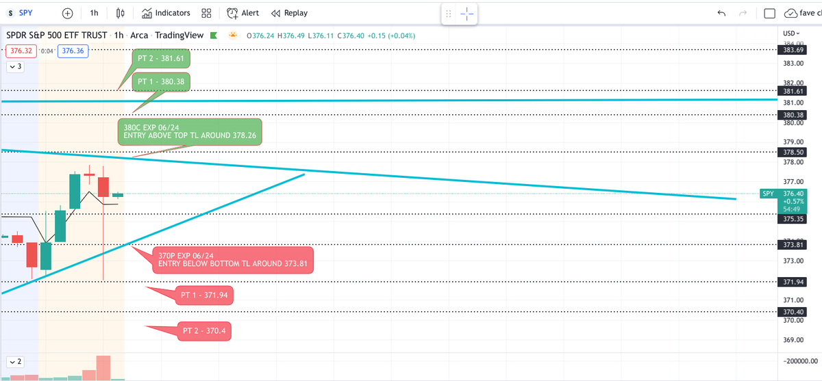 FakeSocio's tweet photo. @Metachart $SPY - EXP 06/24, SEE CHART, ️ https://t.co/DEDfT4aDei
