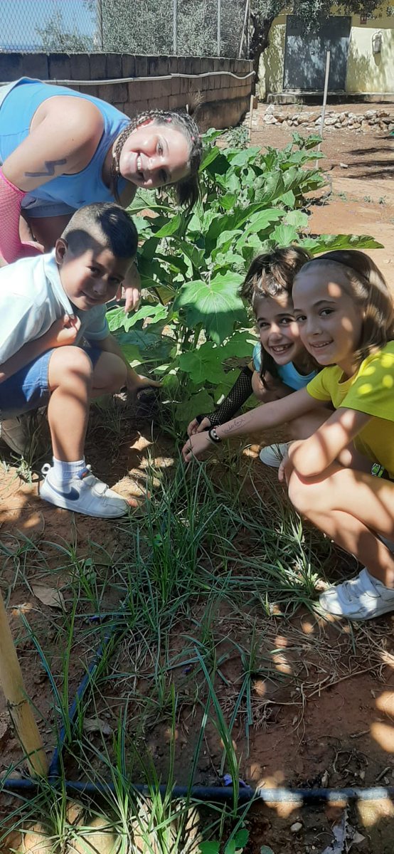 cole_sagrada's tweet photo. Última  recollida de l'alumnat dels productes del nostre #hort #escolar. Enhorabona per tot el treball realitzat! 🍆🫑 #somsagrada https://t.co/SrTsr7qwM7