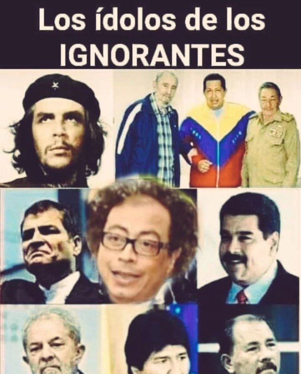 Anonymous Gallo 1 tweet media