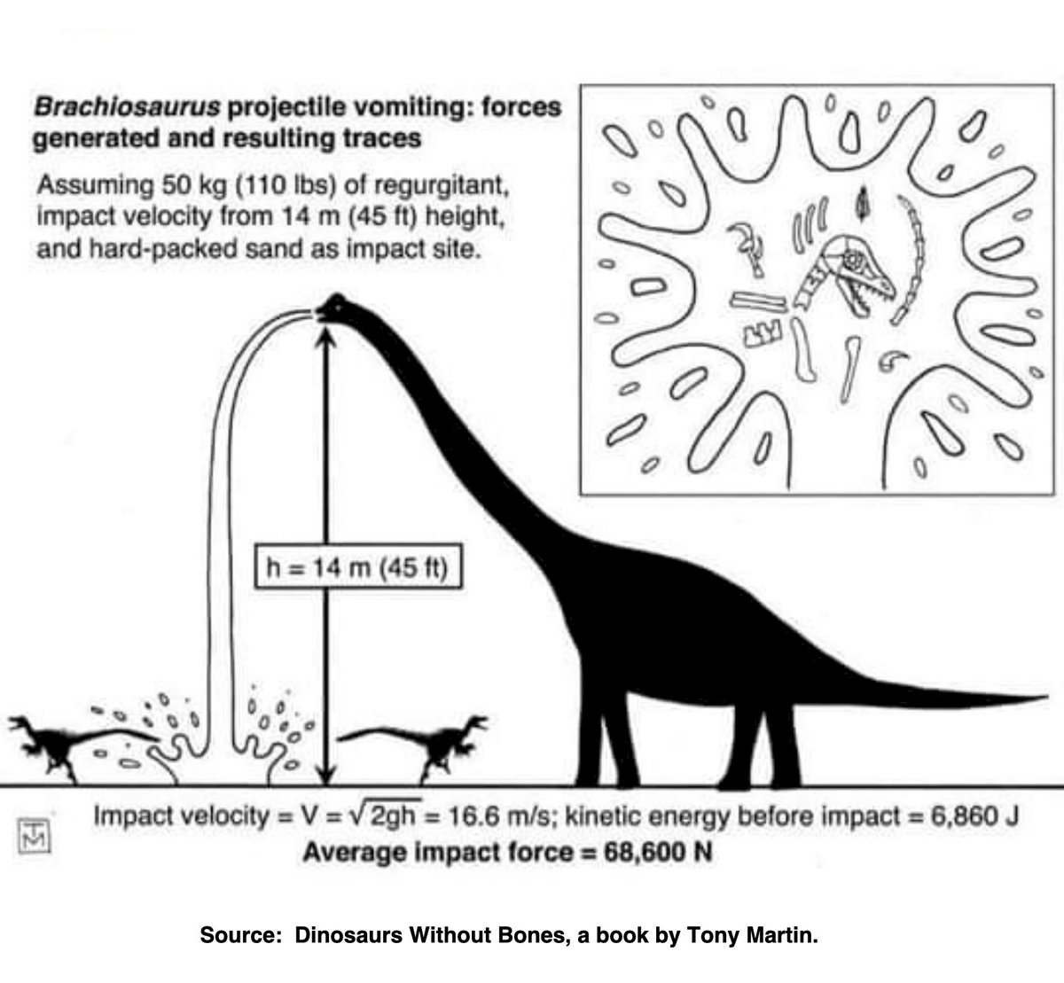 Barfosurus Rex (via @bart_braun via @samgerrits)