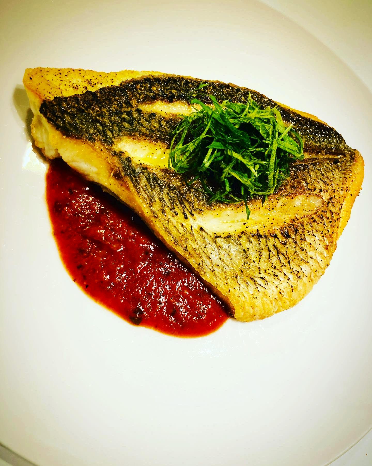 大阪釣男 ツリオです 先日釣ったキビレ 意識高い系で言うと キビレ鯛のポアレ マリアーナソース仕立て 塩麹で熟成させ オリーブオイルとバターでアロゼ トマトベースにバジル ニンニク 魚醤でマリアーナソース フレンチとイタリアン 和食の